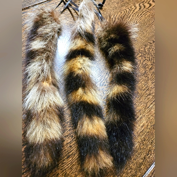 Raccoon Tails! - Picture 4 of 5